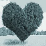 Emotionale Mitarbeiterbindung: Arbeitgeberattraktivität auf der emotionalen Ebene