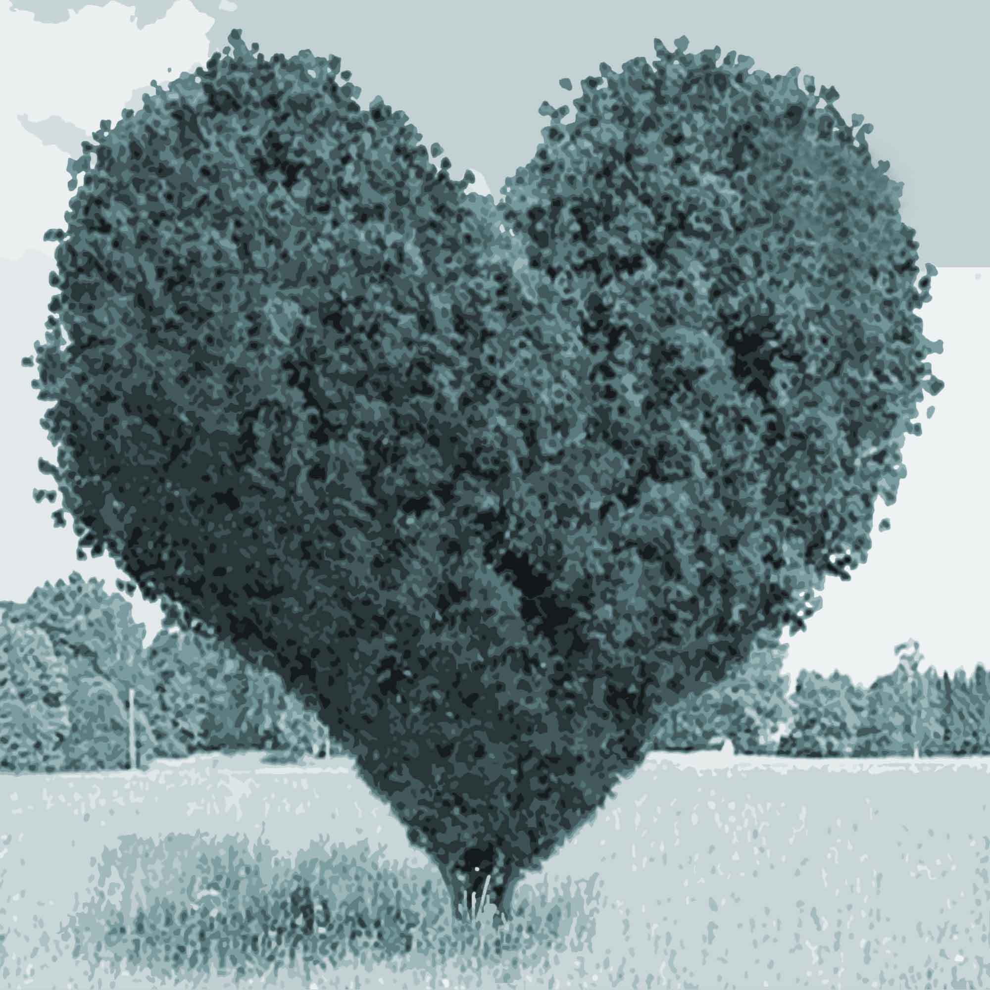 Emotionale Mitarbeiterbindung Mitarbeiterverbundenheit St rken