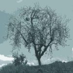 Vortrag Identifikation als Prozess: Identifikation aufbauen, Identifikation ausbauen und Identifikation gestalten