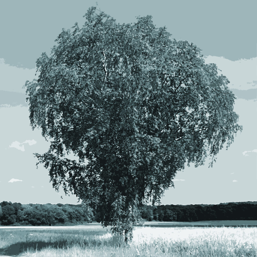 Personalpsychologie Eine Einfache Erkl rung