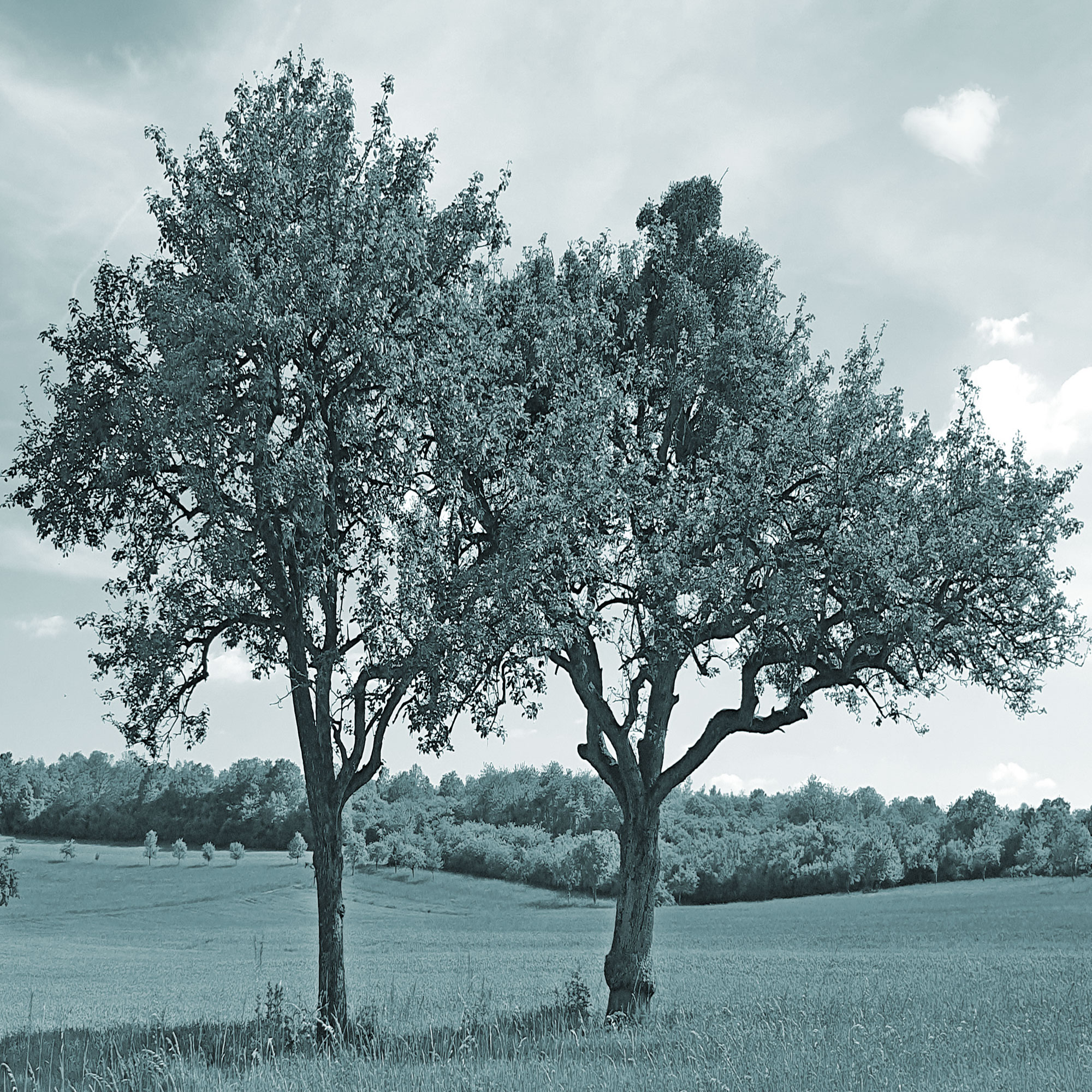 Incentivierung Im Unternehmen Vielfalt Und Effektivit t