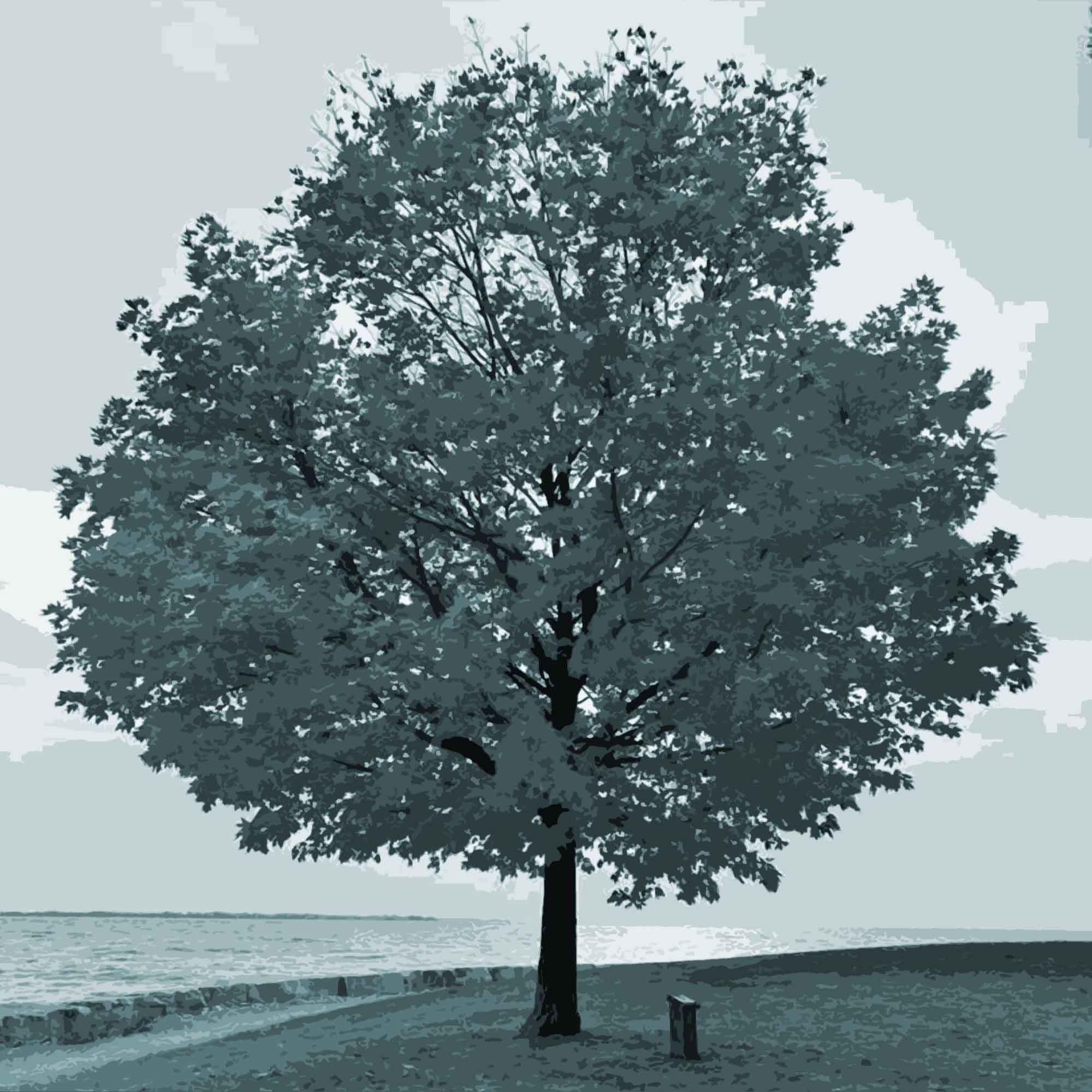 Wertsch tzende Arbeitszeugnisse Langfristige Mitarbeiterbindung