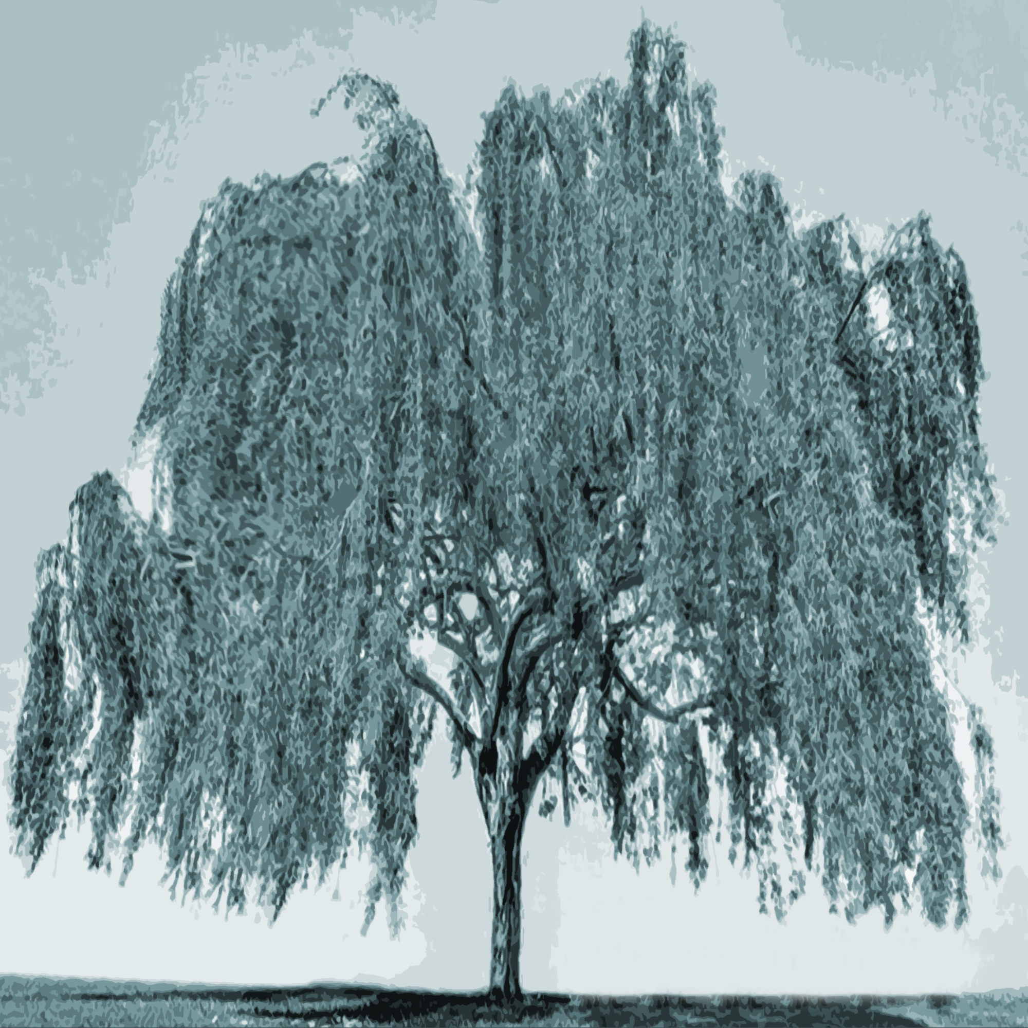 Skill based Hiring Vs Degree based Hiring